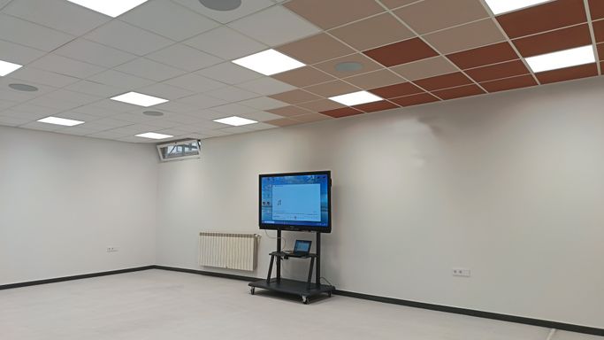 Monitor interactivo Promethean
